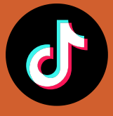 TikTok Logo